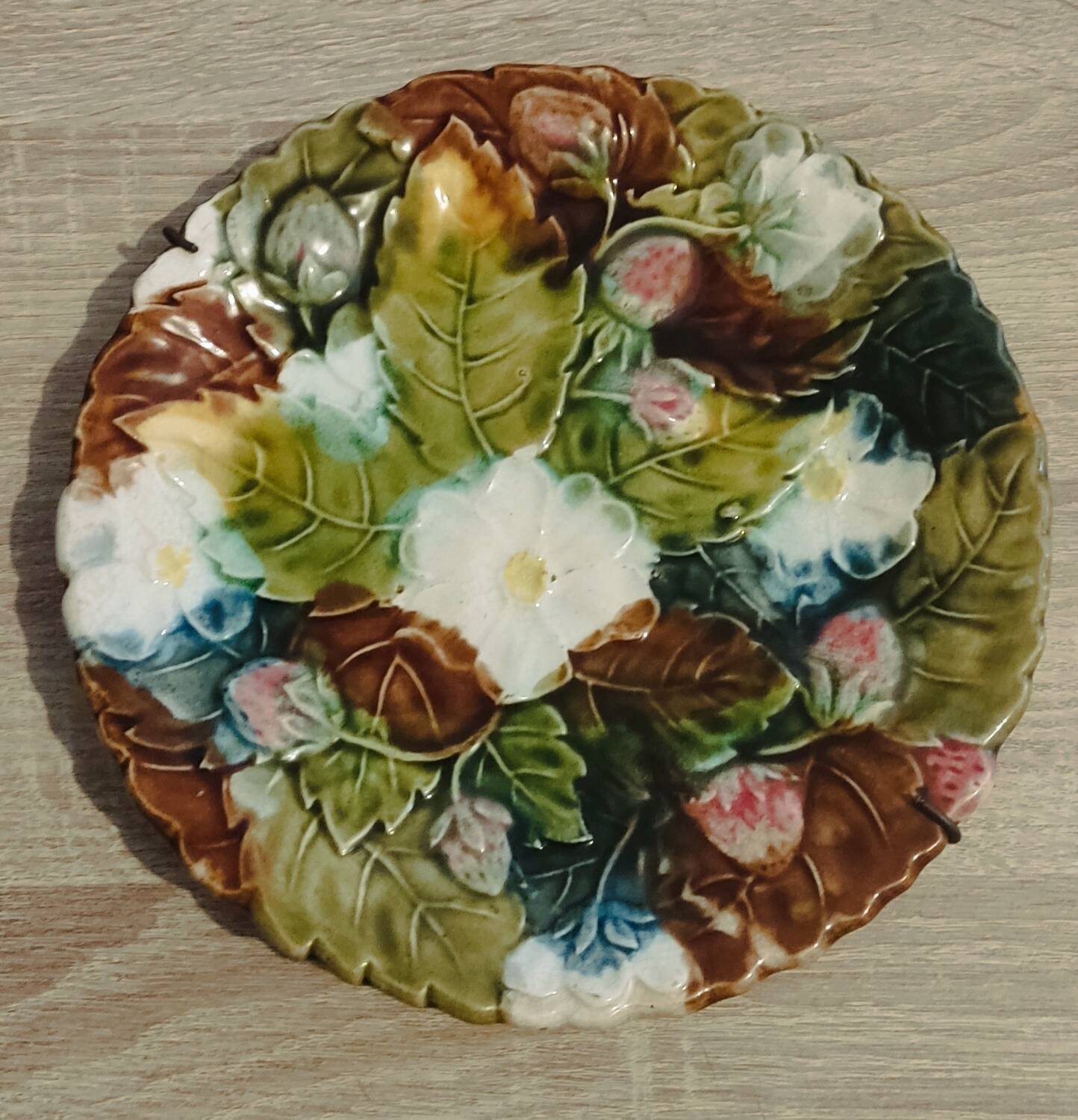 Ceramic Majolica Barbotine Plate