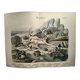 Antique engraving 1886 - Shells and mollusks 1. Lithograph plate