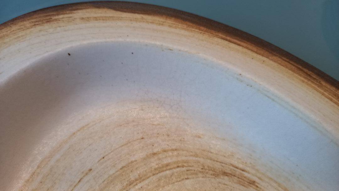Longchamp dish