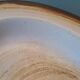 Longchamp dish
