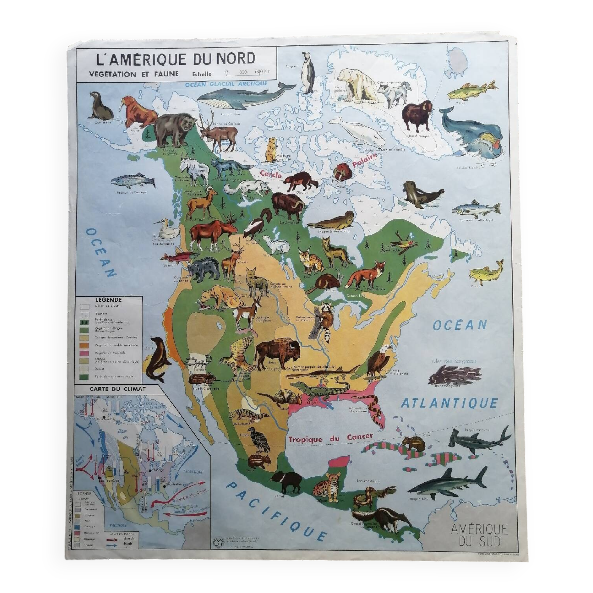 Vintage school map mdi North America-Asia Wildlife