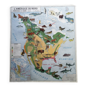 Carte scolaire vintage