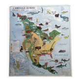 Vintage school map mdi North America-Asia Wildlife
