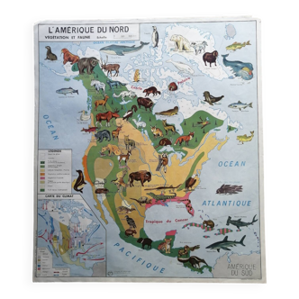 Vintage school map mdi North America-Asia Wildlife
