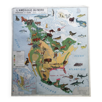Vintage school map mdi North America-Asia Wildlife