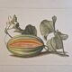 La Roche Laffitte (Born in 1943) - Watercolour drawing on silk - Melon
