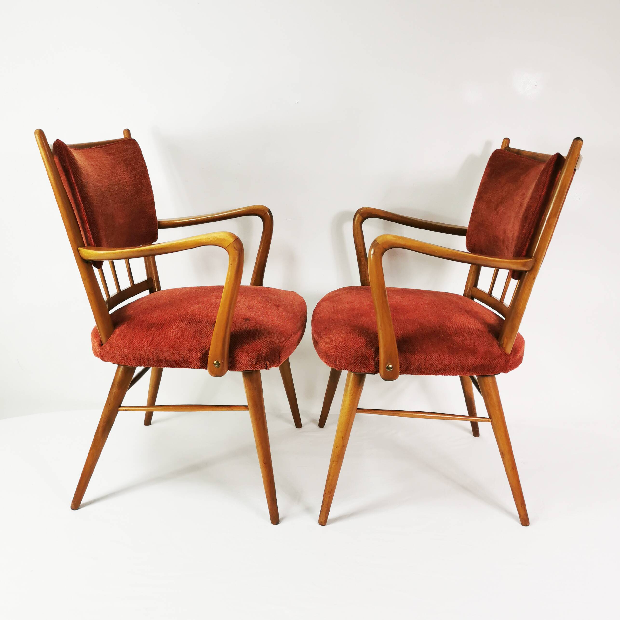 Mid Century Chairs, Casala, Germany 1950s
