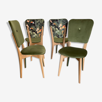 Chairs year 50/60, restored in green velvet and jungle parrot