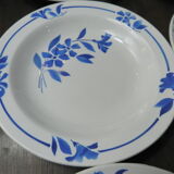 11 assiettes creuses narcisse