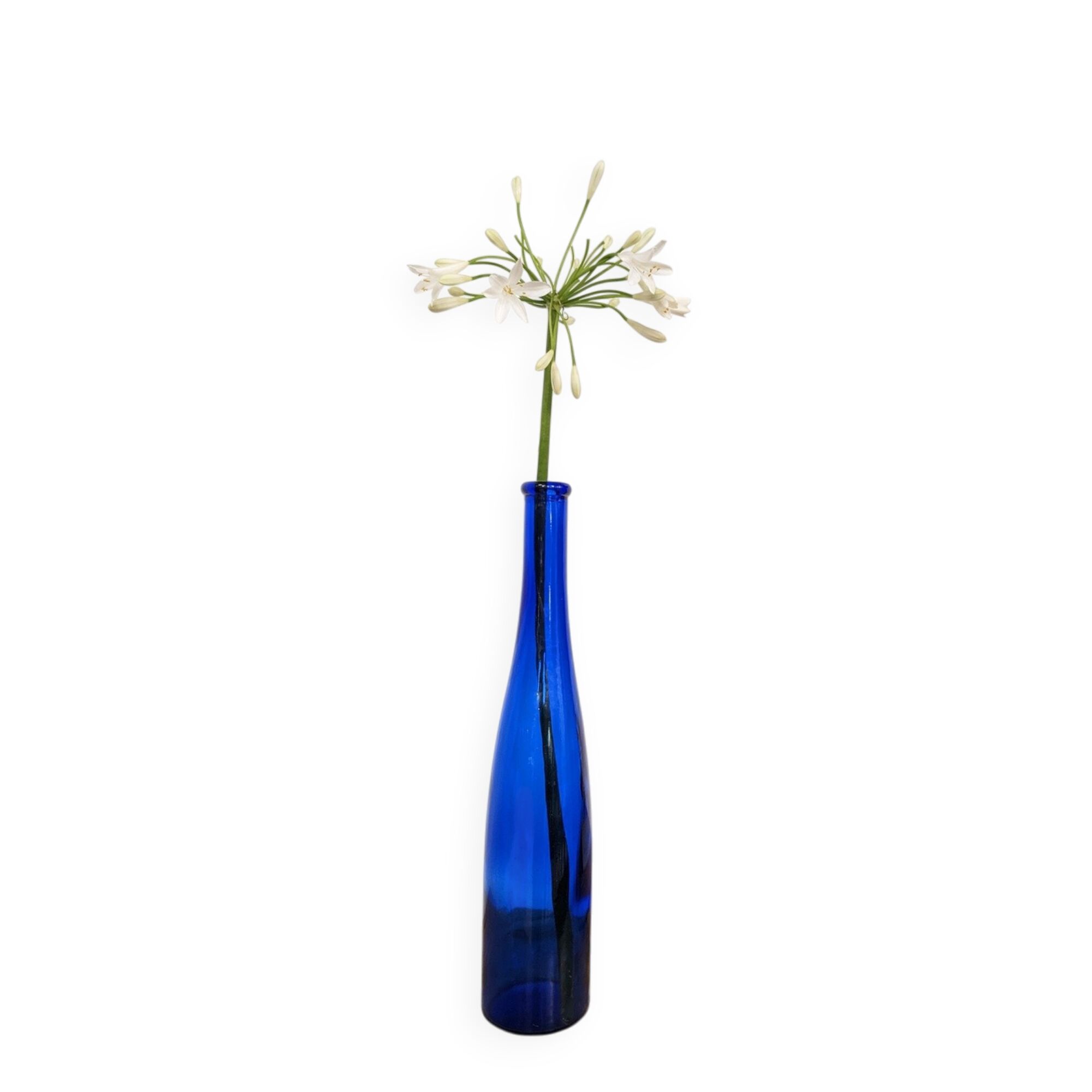Blue bottle