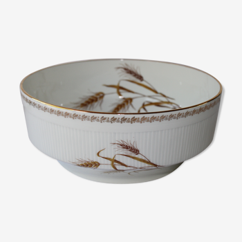 Wheat pattern - gold edge - pl -porcelain vintage