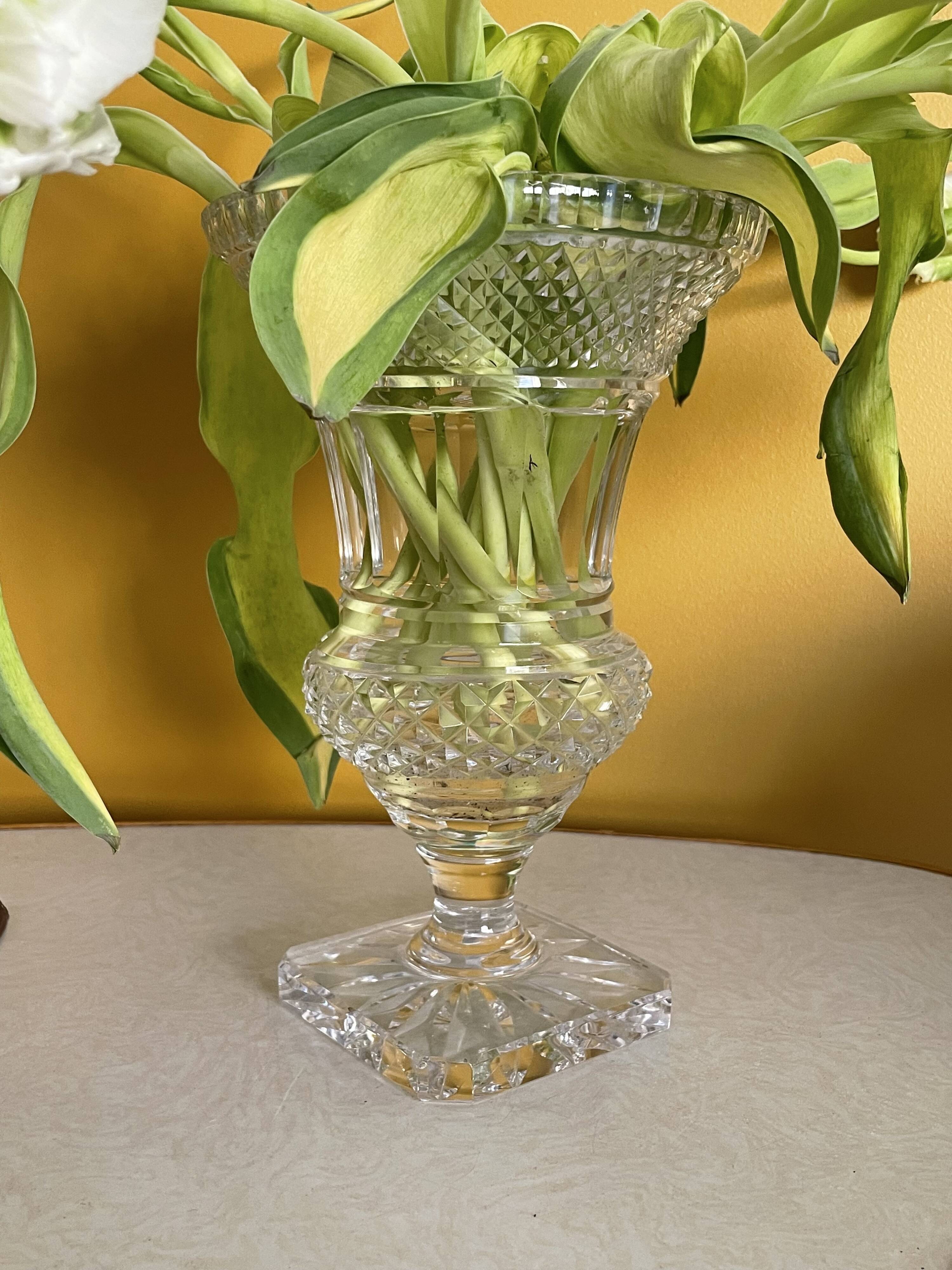 Medici vase