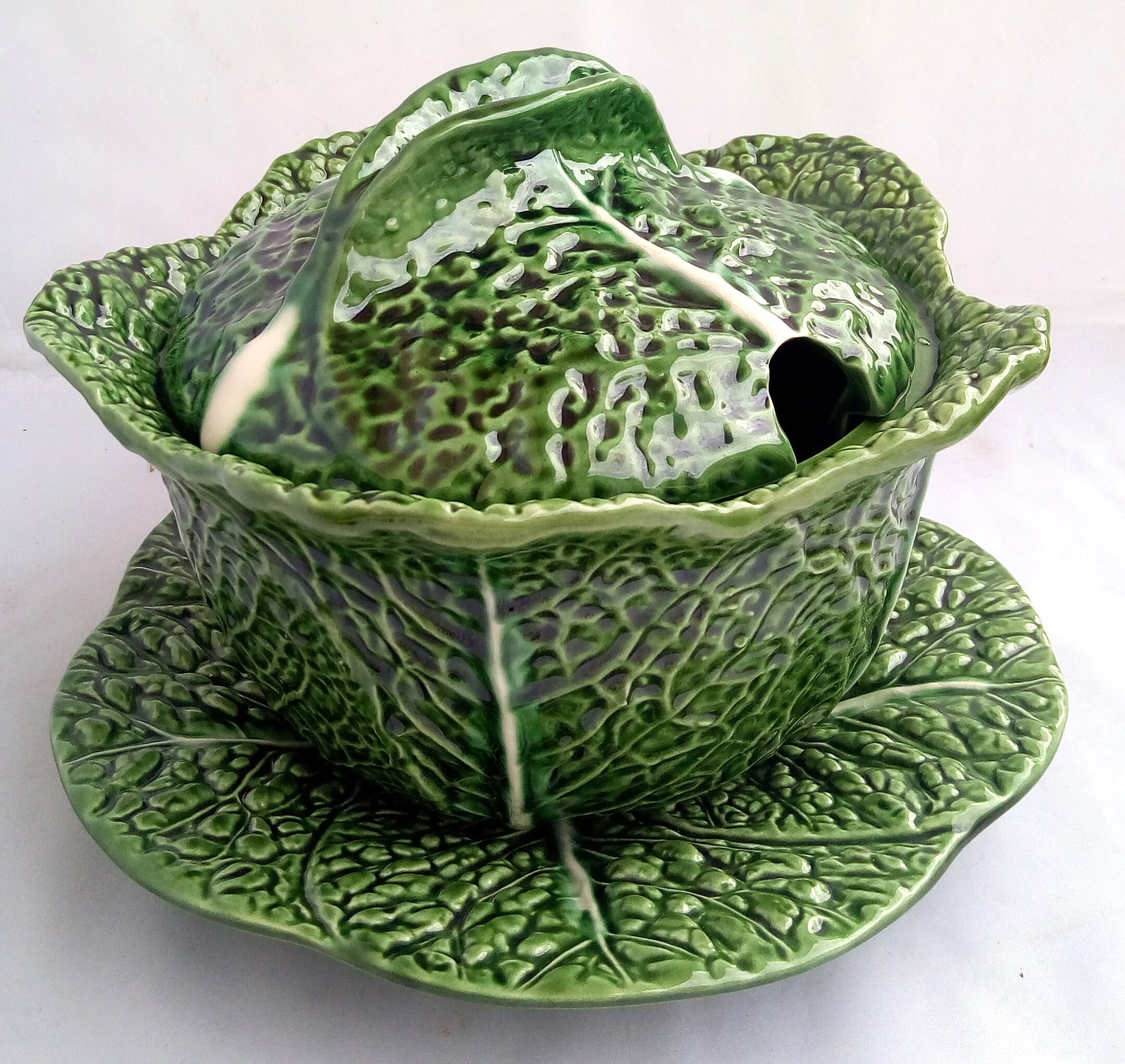 Dabbling cabbage leaf soup bowl