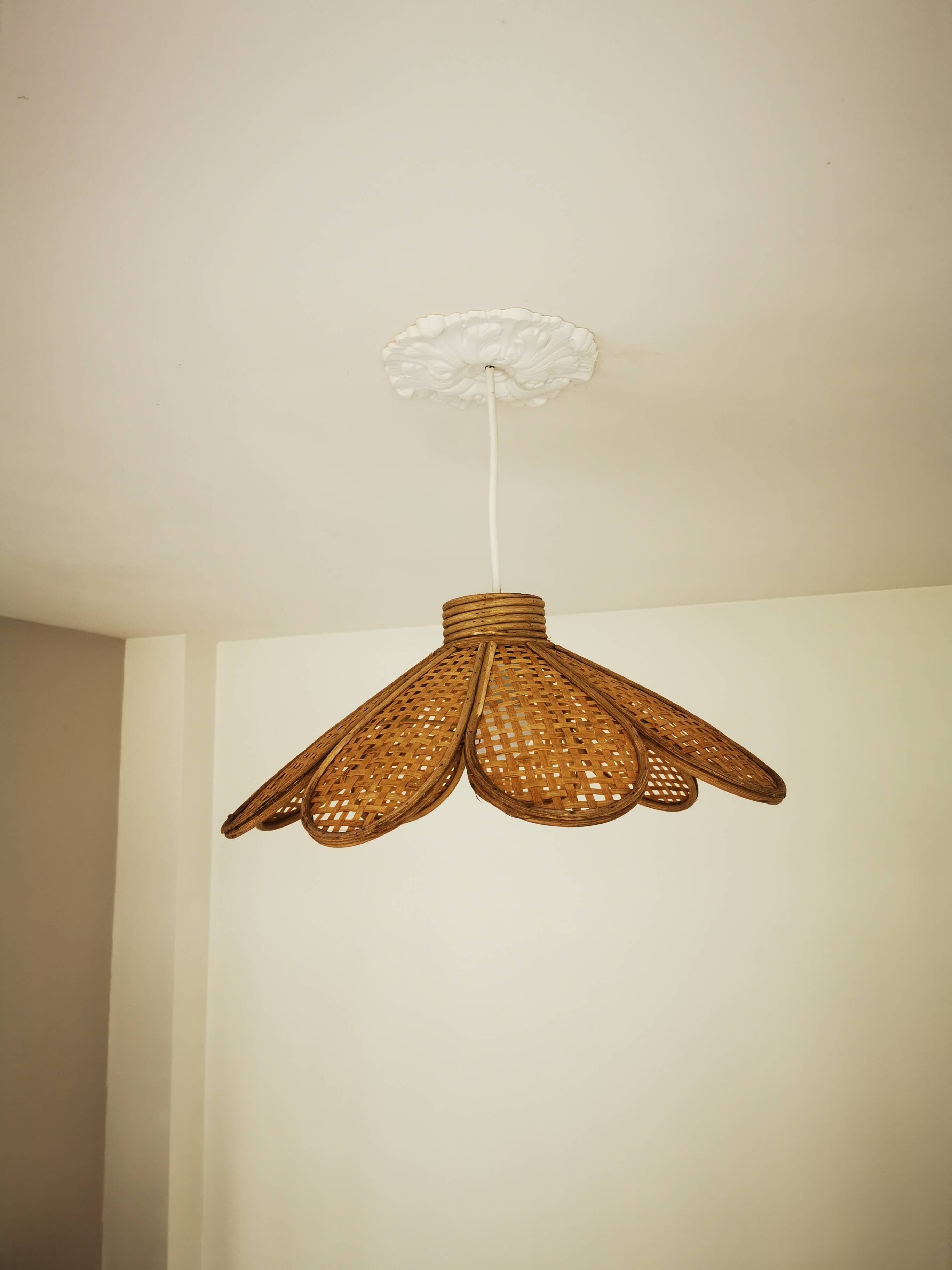 Bamboo rattan suspension and canning