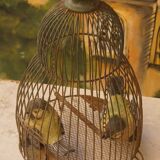 Vintage bird cage