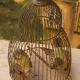 Vintage bird cage