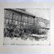 Nicole BOUHARMONT, Greenhouses and Botanical Gardens. Drypoint signed in chalk