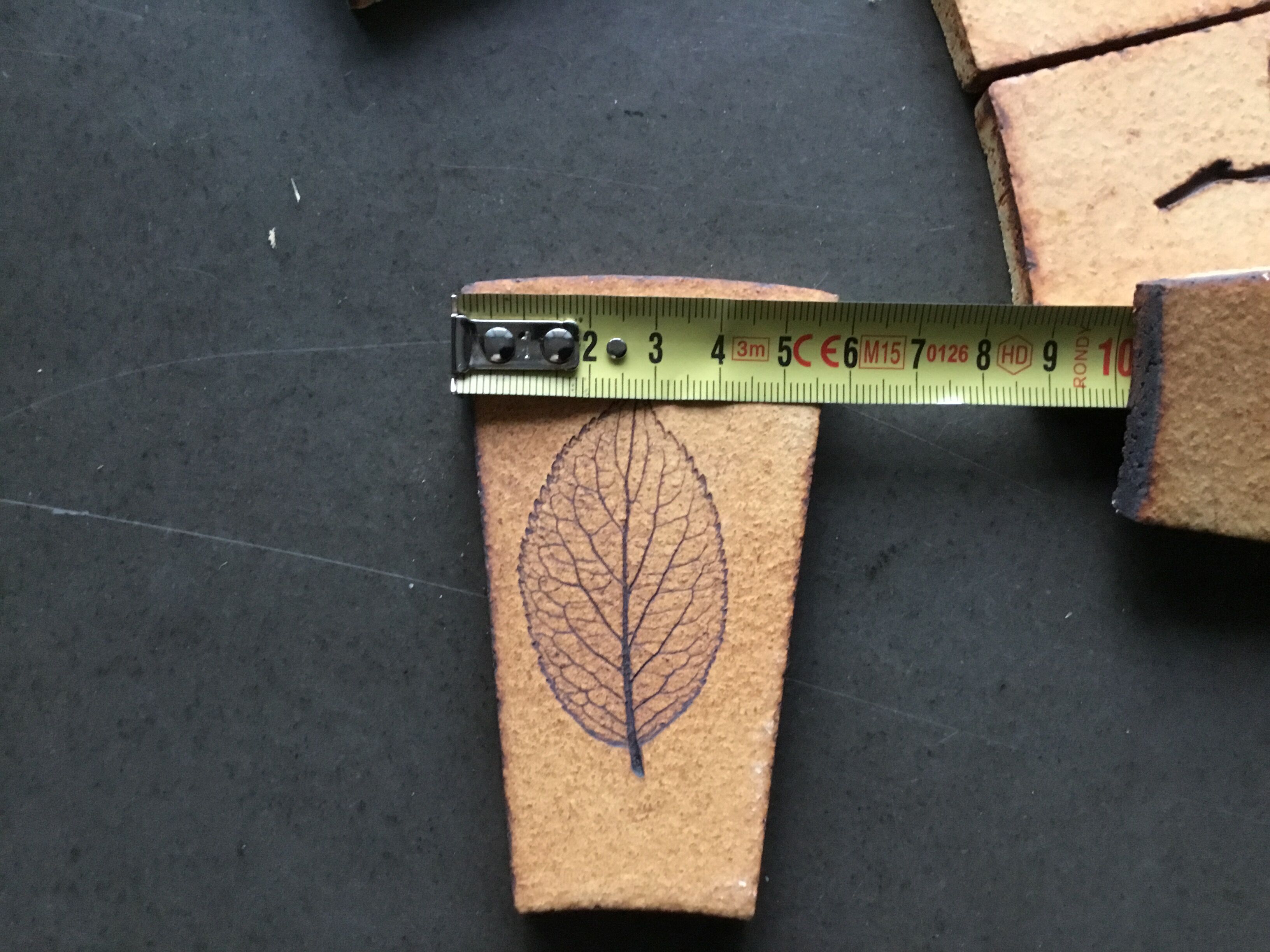Carreaux herbier Roger Capron
