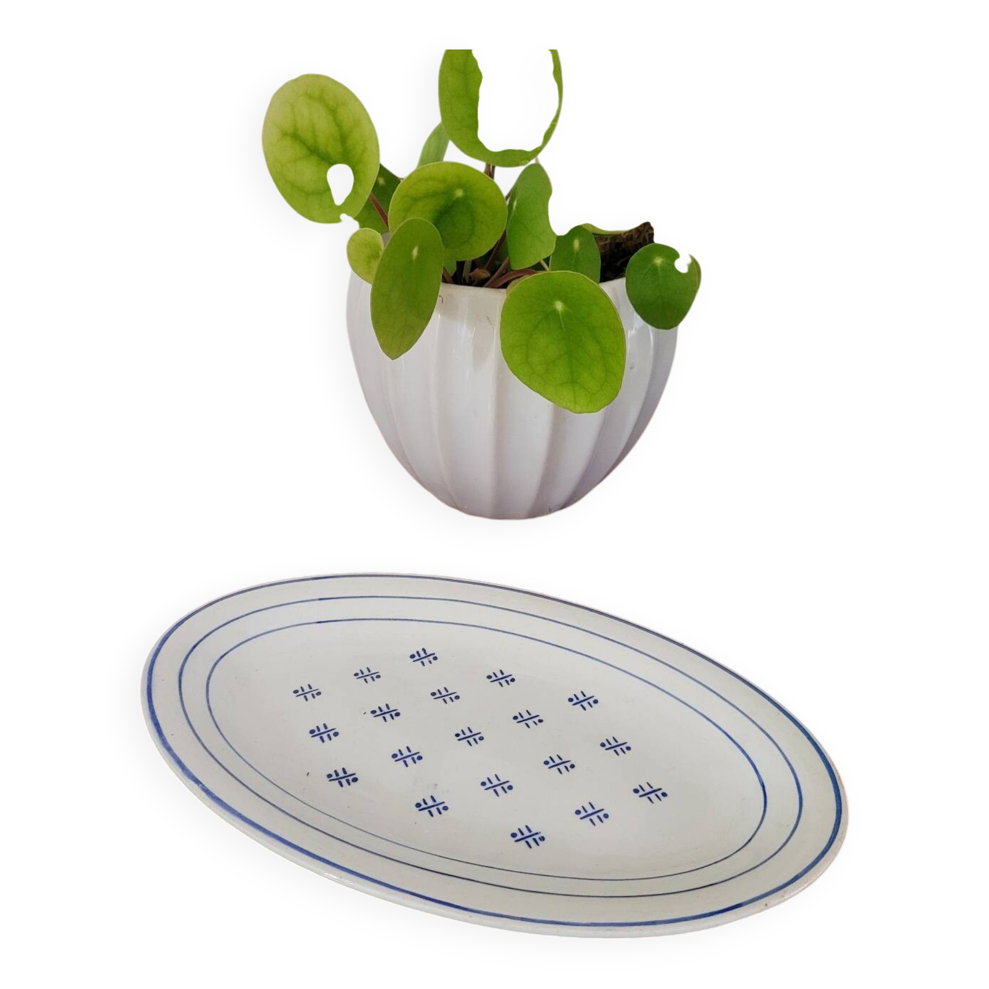 Opaque porcelain dish