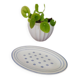 Opaque porcelain dish