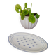 Opaque porcelain dish