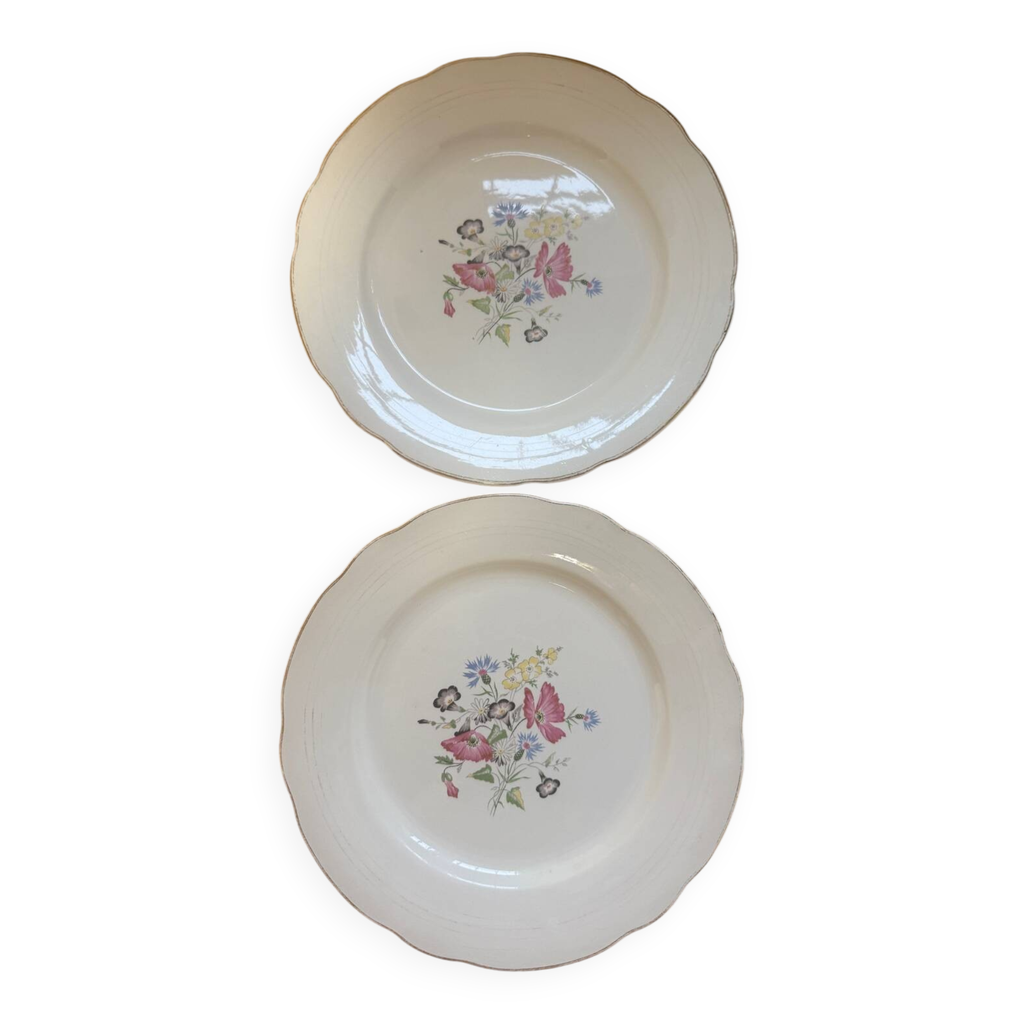 Pair of Sarreguemines Raspaud plates – Floral decoration
