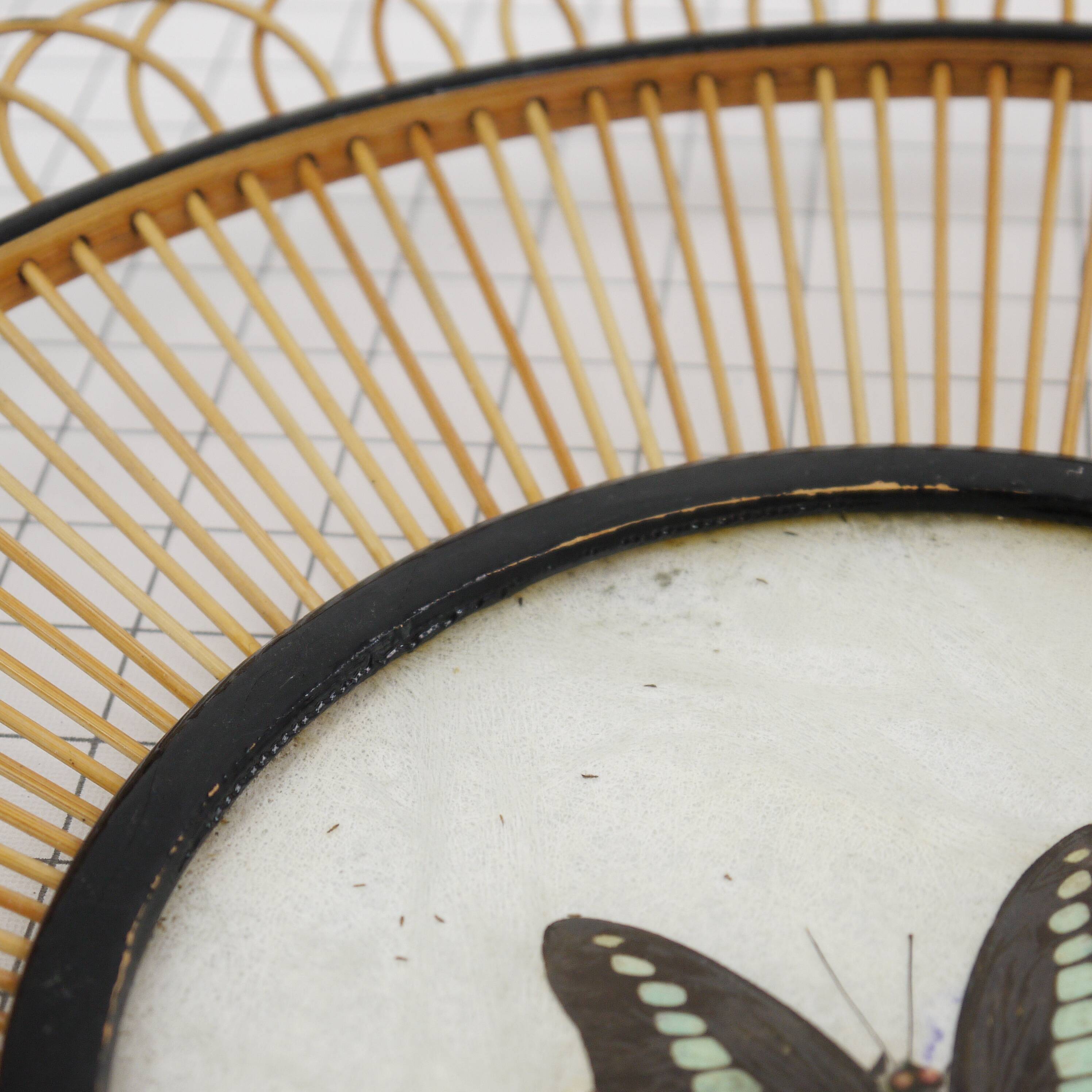 Wicker fruit basket with butterfly