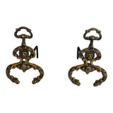 Pair of neoclassical andirons in bronze and wrought iron