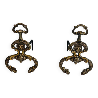 Pair of neoclassical andirons in bronze and wrought iron
