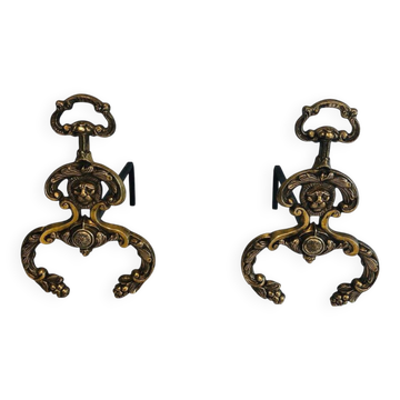 Pair of neoclassical andirons in bronze and wrought iron