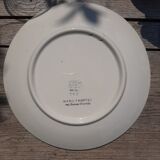 Blue flower plate Poland