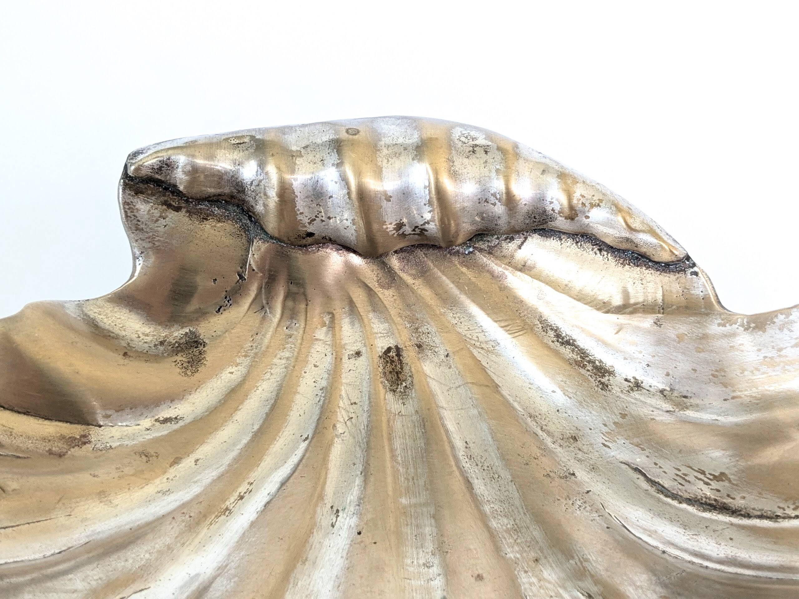 Large shell dish in silver plated