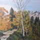 Oil painting landscape