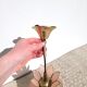 Lotus ceiling lamp in pink mother-of-pearl and brass