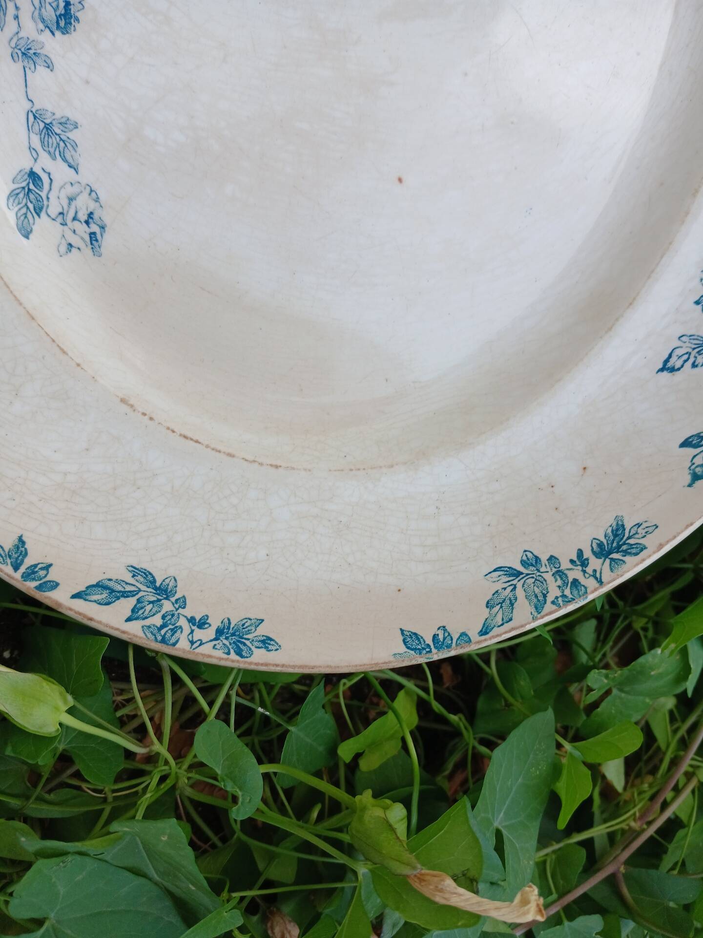 Old plate in Creil and Montereau ironstone