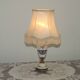 French Vintage Decorative Silver Metal and Porcelain Shaded Table Lamp