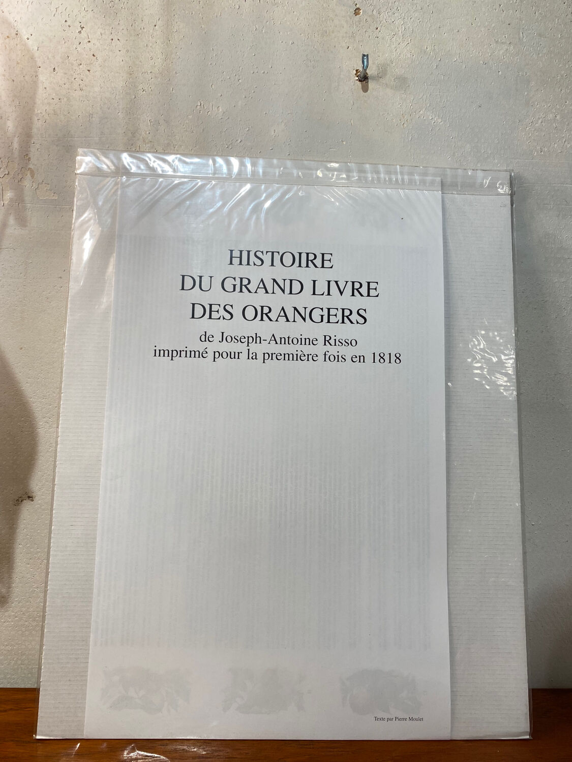 Risso Citrus Lithograph