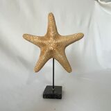 Cabinet of curiosities natural starfish on marble shell base
