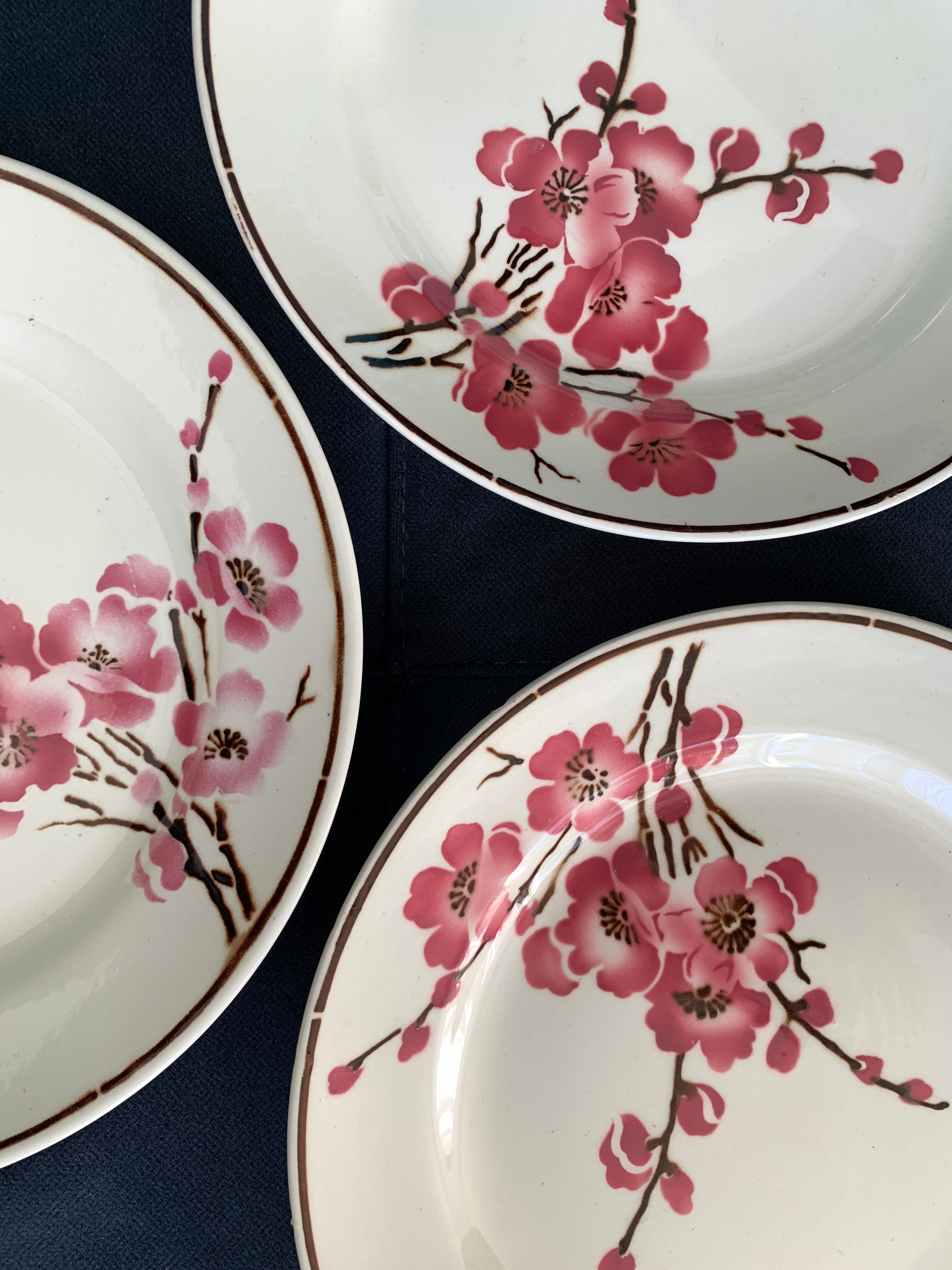 11 dessert plates Saint Amand Terre de Fer, 1930