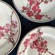 11 dessert plates Saint Amand Terre de Fer, 1930