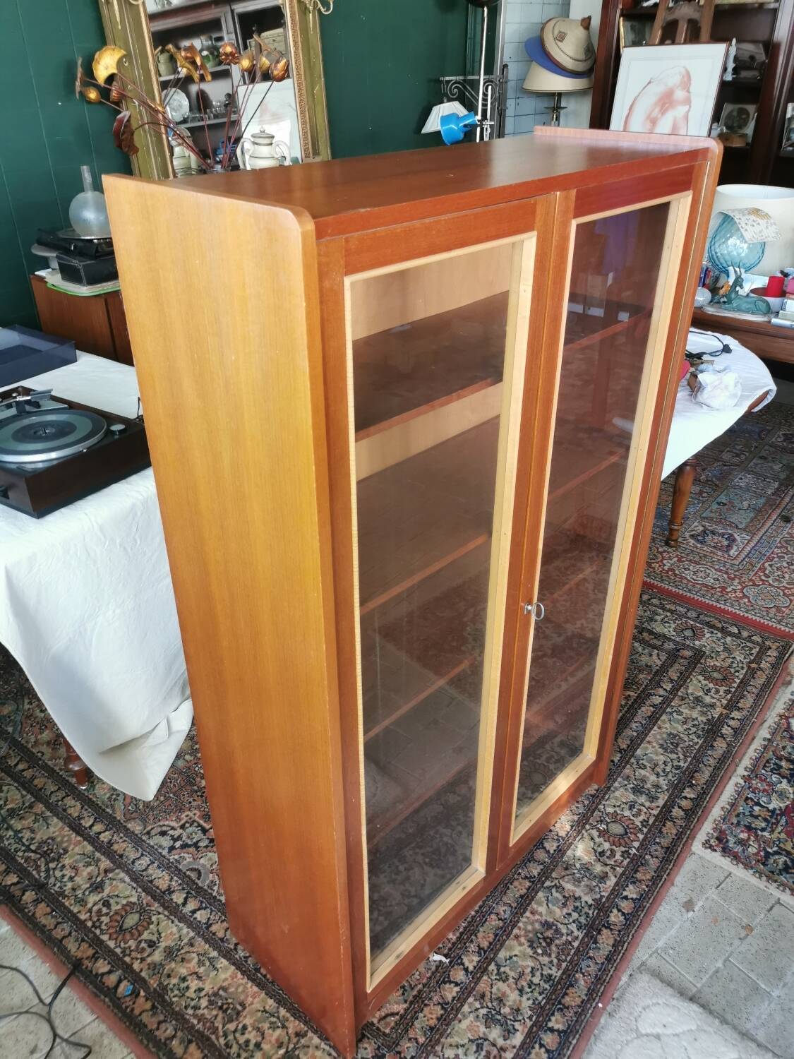 Vintage library display case
