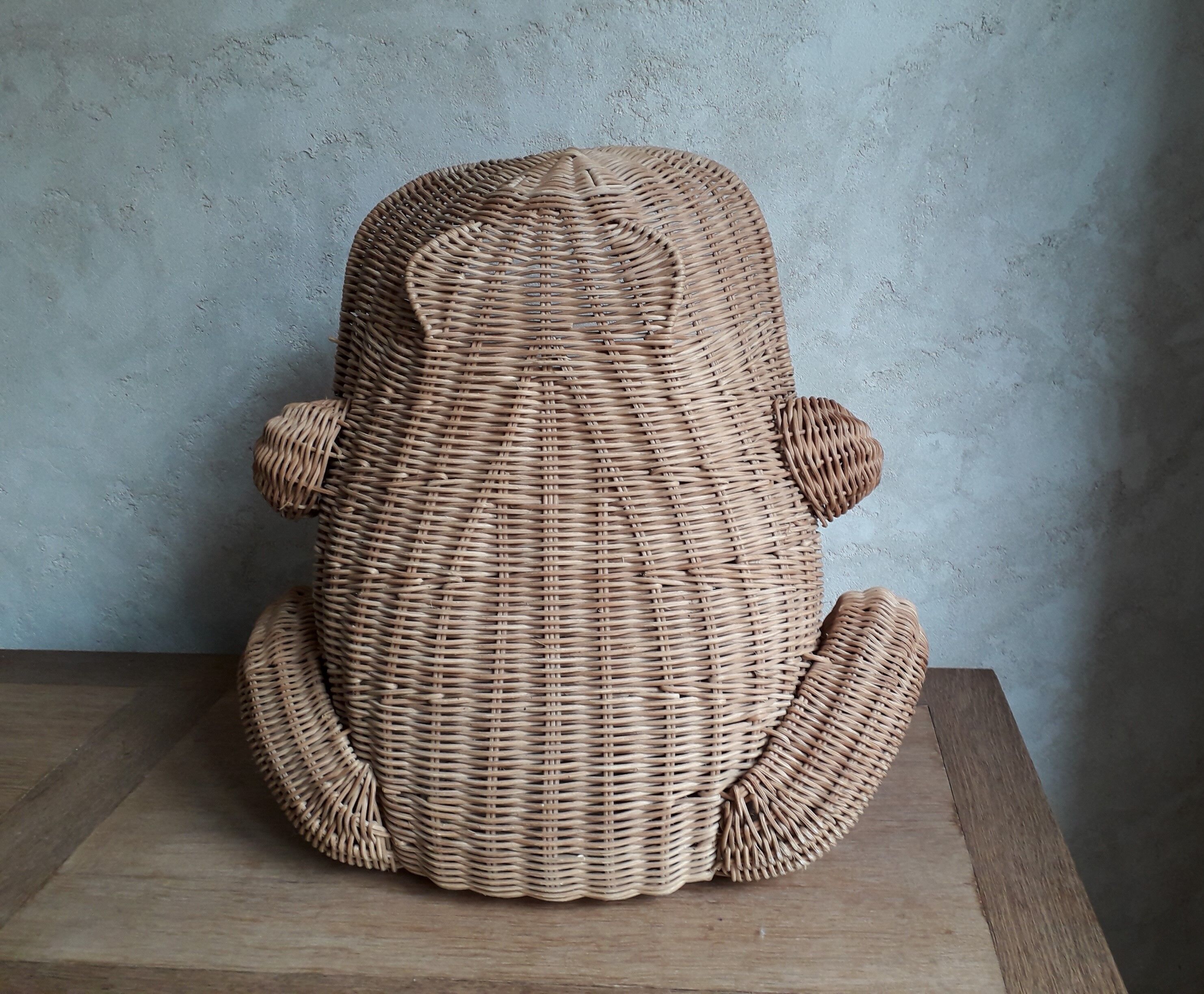 Frog in rattan magazine holder