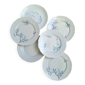 Assiettes pates Porcelaine de Sologne