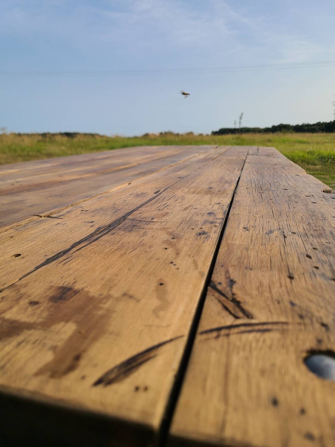 Early 20th century farmhouse table giant workbench