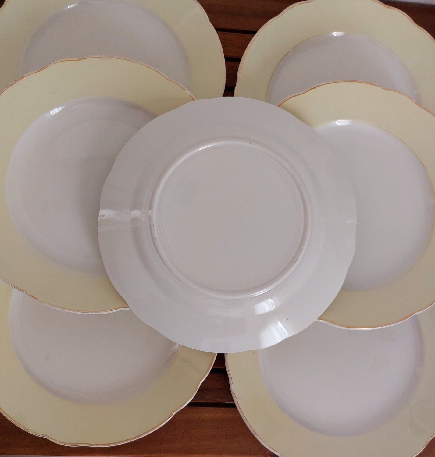 7 assiettes plates Sarreguemines Hugues