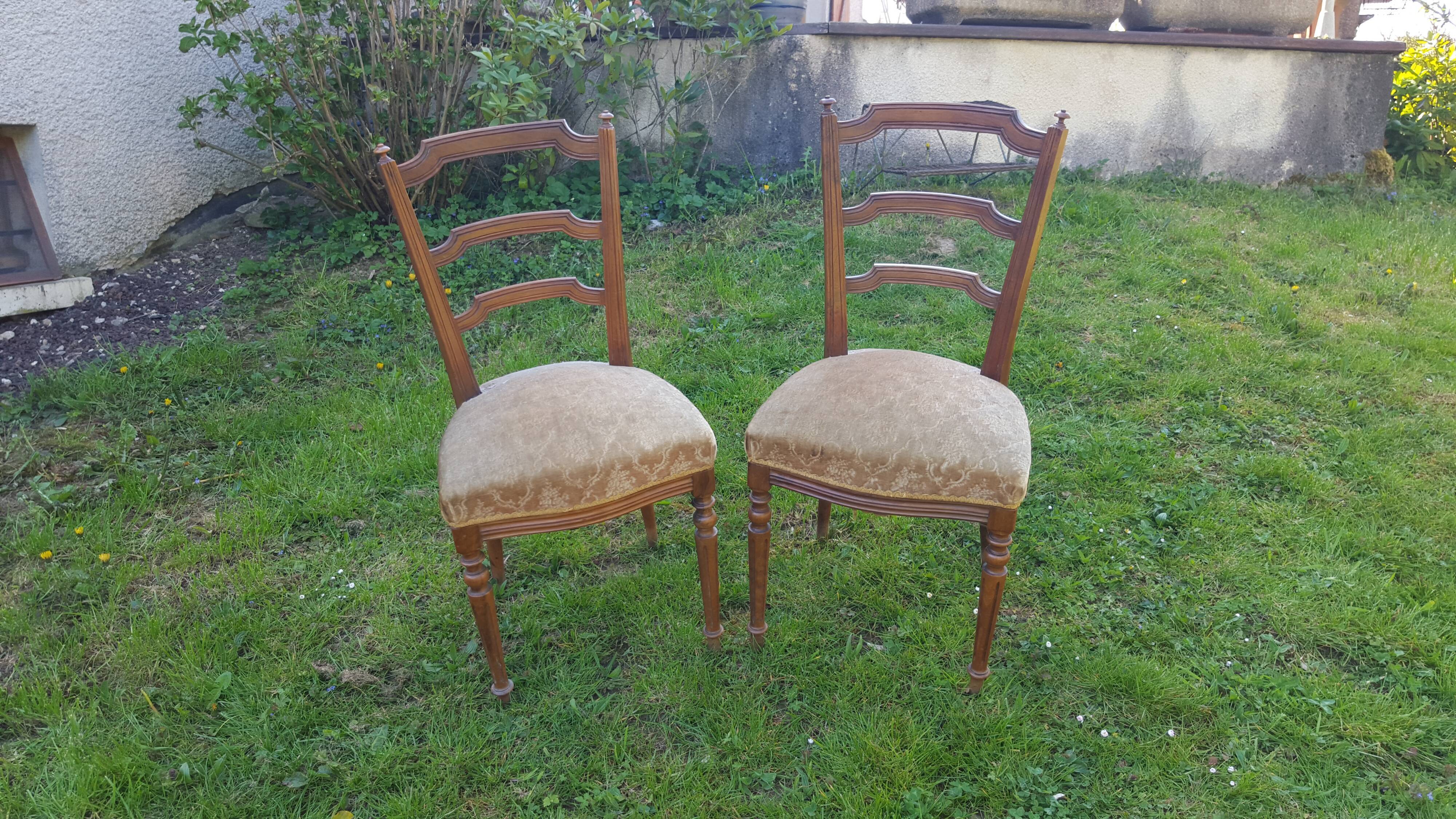 Pair of Napoleon III style chairs