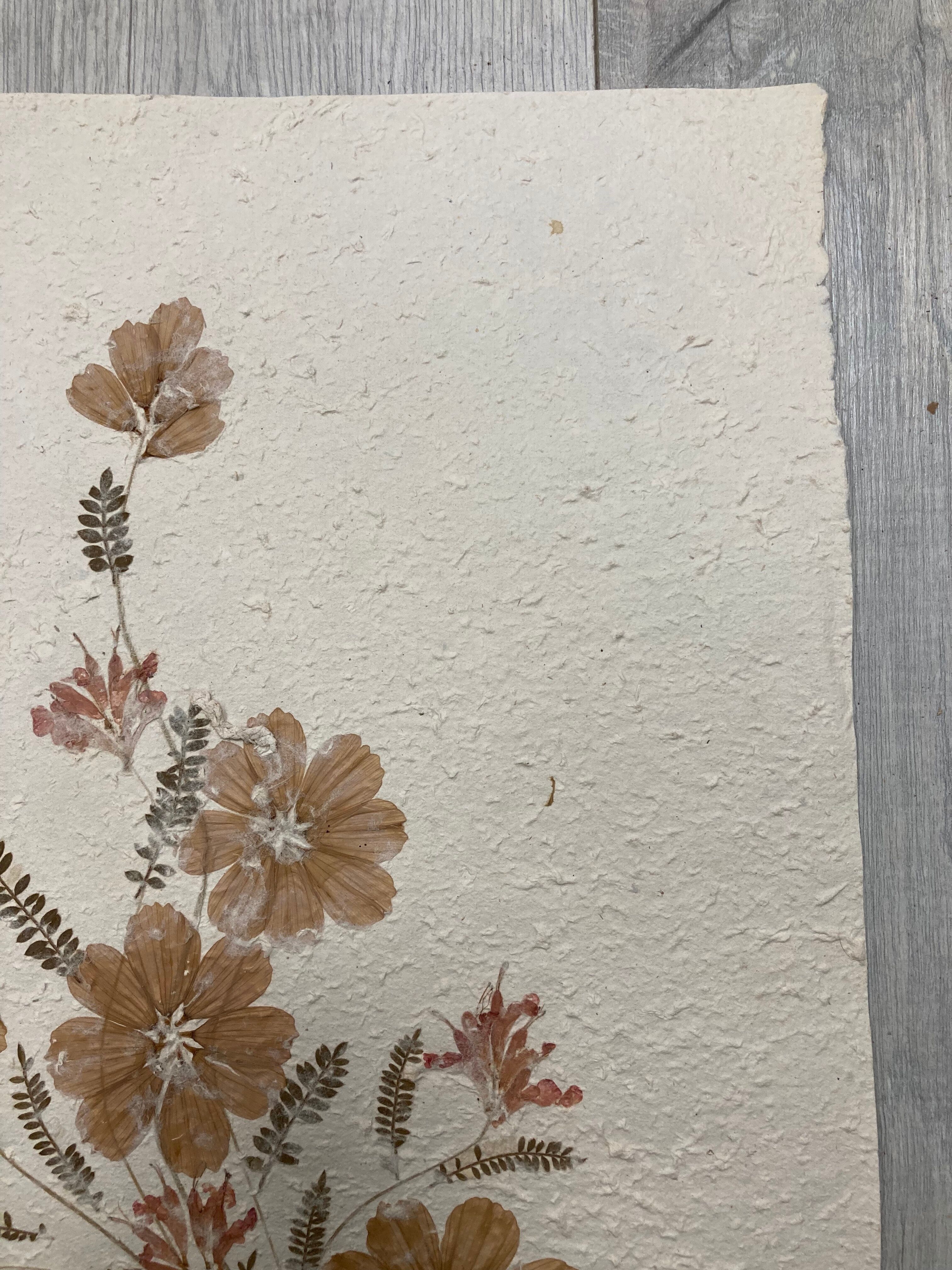 Planche fleurs séchées