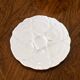 Porcelain oyster plate set by HutschenReuthen