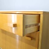 Paire de commodes Frantisek Mezulanik des années 1960, Tchécoslovaquie