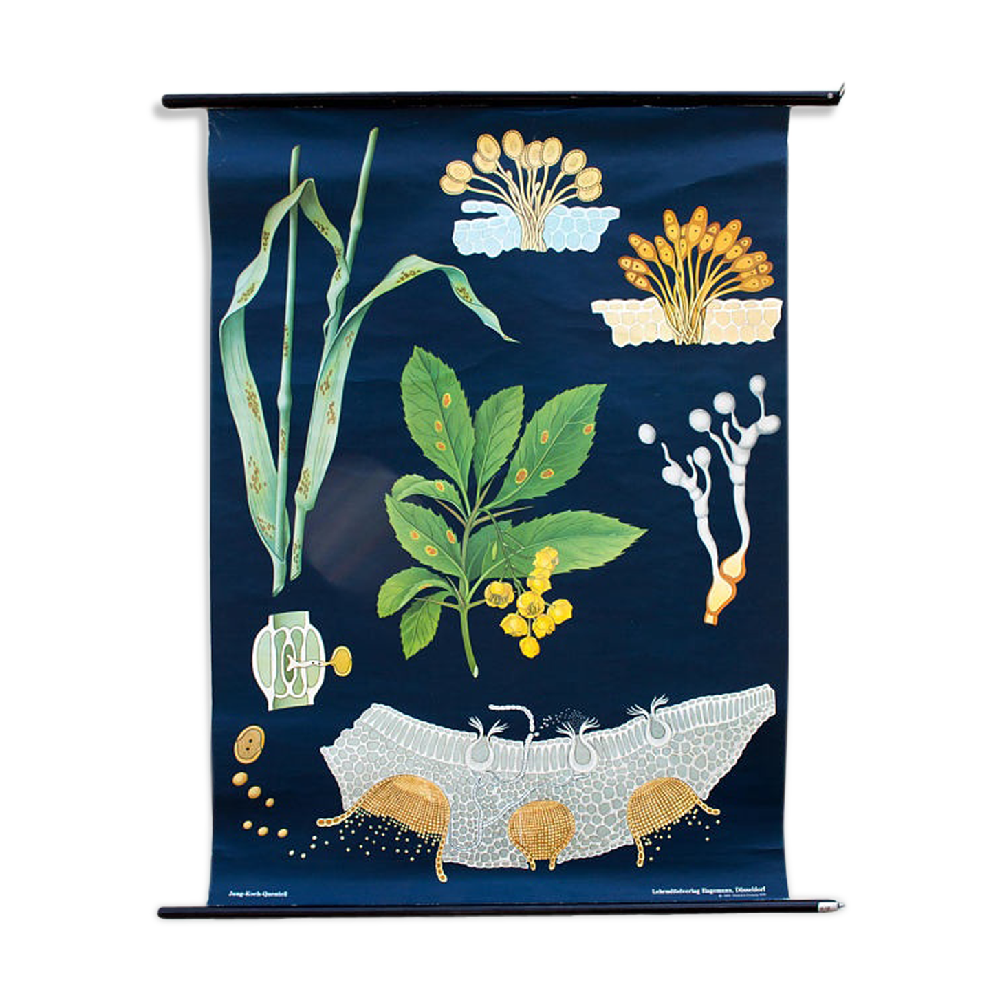 Poster wall of the school of Jung-Koch-Quentell 1970